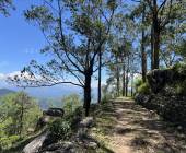 Hike Sri Lanka’s Pekoe Trail