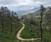 Hike Sri Lanka’s Pekoe Trail