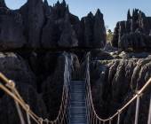 Madagascar Wildlife Adventure