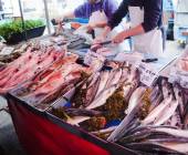 Discover Malta & Gozo