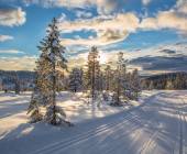 Cross-Country Skiing in Skåbu, Norway