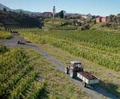 Walks & Food of the Italian Riviera