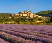 Discover Provence