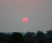 Essential Kruger Safari