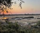 Essential Kruger Safari