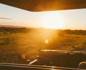 Essential Kruger Safari