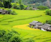 Hiking in Northern Vietnam