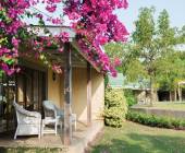 Essential Kruger Safari