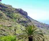 Walking Tenerife and La Gomera
