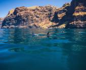 Walking Tenerife and La Gomera