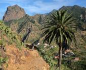 Walking Tenerife and La Gomera
