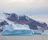Antarctica by Helicopter: Crossing the Circle and the Peninsula
