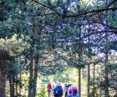 Walking in Andorra