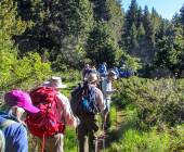 Walking in Andorra