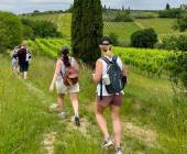 Tuscany walks and Chianti Wines