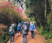 Azores Adventure