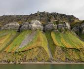 Svalbard Arctic Adventure – Polar Summer