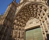 Signature Spain | Light Through Olive Groves