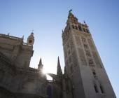 Signature Spain | Light Through Olive Groves