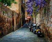 Signature Italy | Allure of Renaissance Tuscany