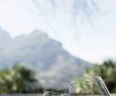 Cycling the Cape & Winelands