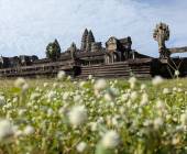 Highlights of Cambodia