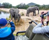 Essential Kruger Safari – Family Adventure