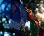 Signature Nepal & Bhutan | Peaks & Prayer Flags