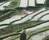 Signature Indonesia | The Sacred Wild Isles