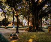 Signature Vietnam | In Fabric & Folklore