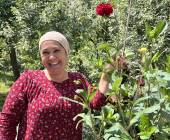 Highlights of Central Asia