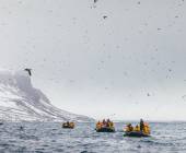 Svalbard in Spring: Sea Ice, Pristine Snow and Wildlife