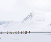 Svalbard in Spring: Sea Ice, Pristine Snow and Wildlife