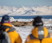 Svalbard in Spring: Sea Ice, Pristine Snow and Wildlife