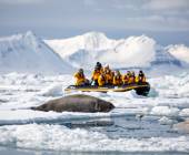 Svalbard in Spring: Sea Ice, Pristine Snow and Wildlife