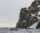 Svalbard in Summer: Tundra, Whales and Wildlife