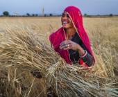 Rajasthan Highlights by Bike