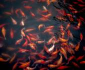 Signature China | Great Wall & Warriors