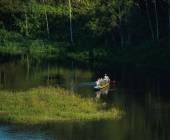 Amazon Add-on Tour – Napo Wildlife Center