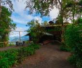 Ecuador Cloud Forest Add-on Tour
