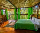 Ecuador Cloud Forest Add-on Tour