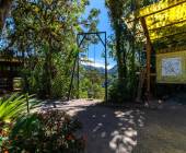 Ecuador Cloud Forest Add-on Tour
