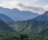 Ecuador Cloud Forest Add-on Tour