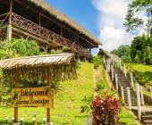 Amazon Add-on Tour – Yarina Lodge