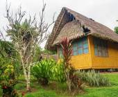 Amazon Add-on Tour – Yarina Lodge