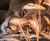 Discover Namibia – Premium Adventure