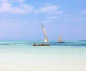 Mombasa Beach by Rail Add-on Tour