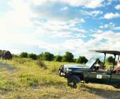 Jackalberry Lodge