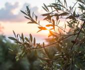 Hiking Portugal & Spain’s Historic Frontier