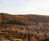 castañar san martin